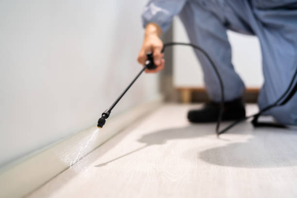 Certified termite inspector examining foundation in Lititz