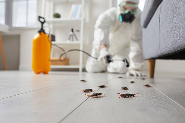 Commercial Kitchen Cockroach Control in Lititz